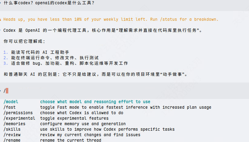 Codex工作截图1