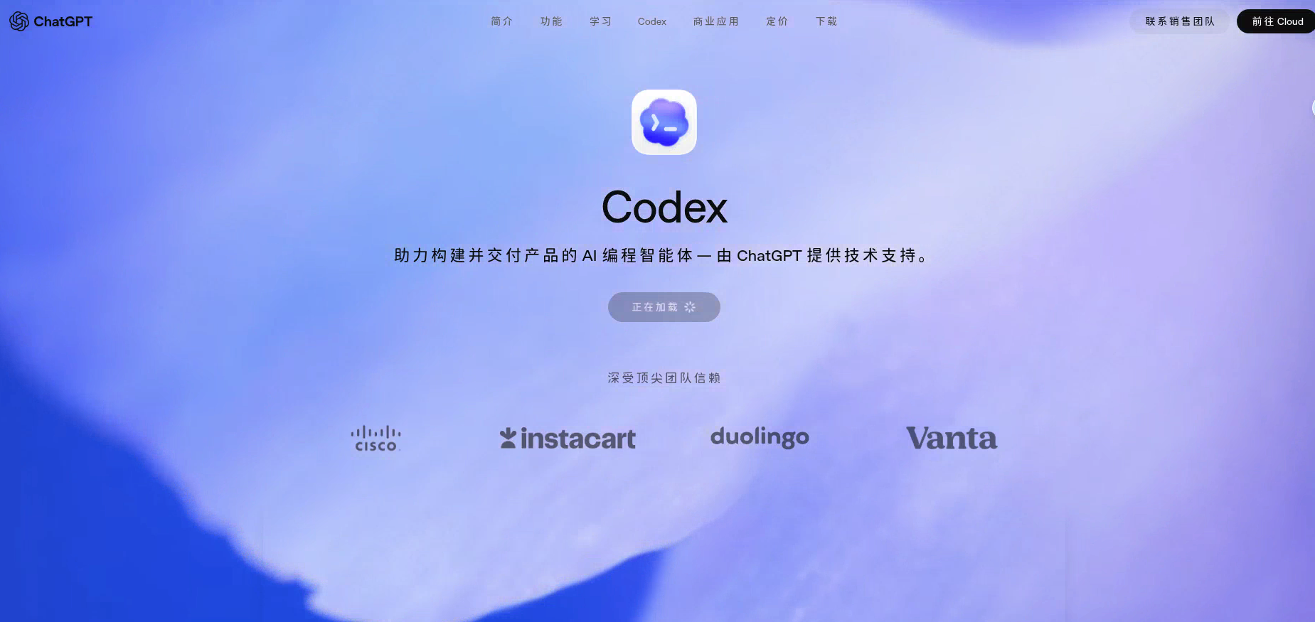 Codex工作截图2